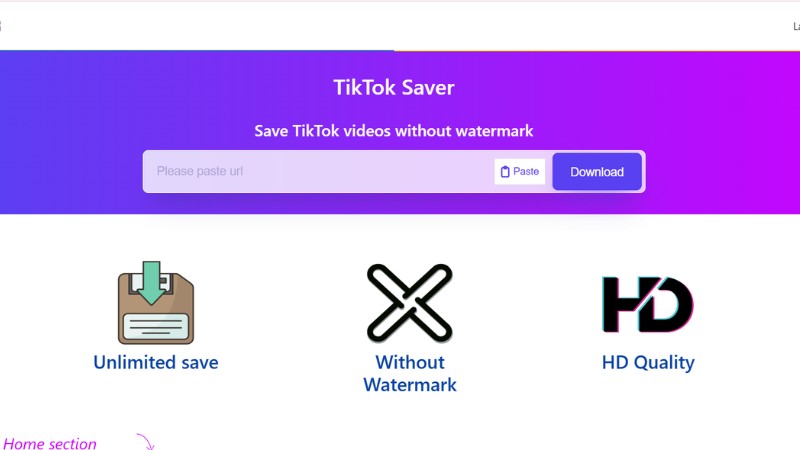 What is TikTok Saver?