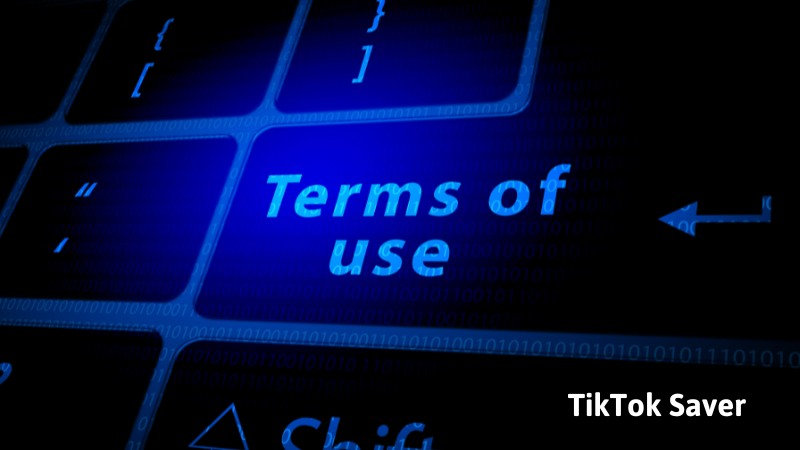 Terms of Use