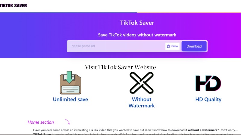 Visit TikTok Saver Website